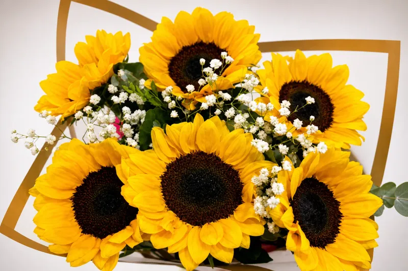 Ramo de girasoles
